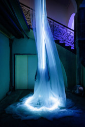 Les je tématem letošního 24. ročníku Designbloku