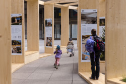 Výstava salonu dřevostaveb