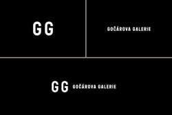 Východiskem pro nový vizuální styl Gočárovy galerie se stala sama budova Automatických mlýnů. Její rekonstrukcí získává galerie i město Pardubice důležitou kulturní ikonu