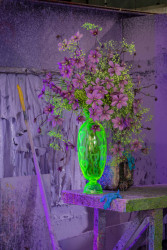 Gerbery či růže jsou květinové "bestsellery" - jsou v květinářstvích po celý rok bez ohledu na roční období. Ale lidé začínají chtít i sezónní květiny. "Budoucnost mají floristé a květináři, kteří nabídnou sezónní pestrost," říká.