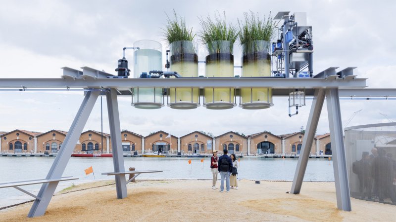 Tady se čistí voda z kanálu a vaří se z ní káva. Projekt ateliéru Diller Scofidio + Renfro získal Zlatého lva za nejlepší pavilon.
