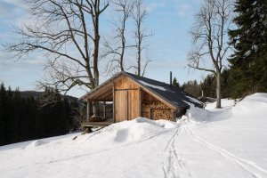 Pařezová chaloupka v Orlických horách od molo architekti
