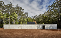 MODSCAPE., Berry - foto