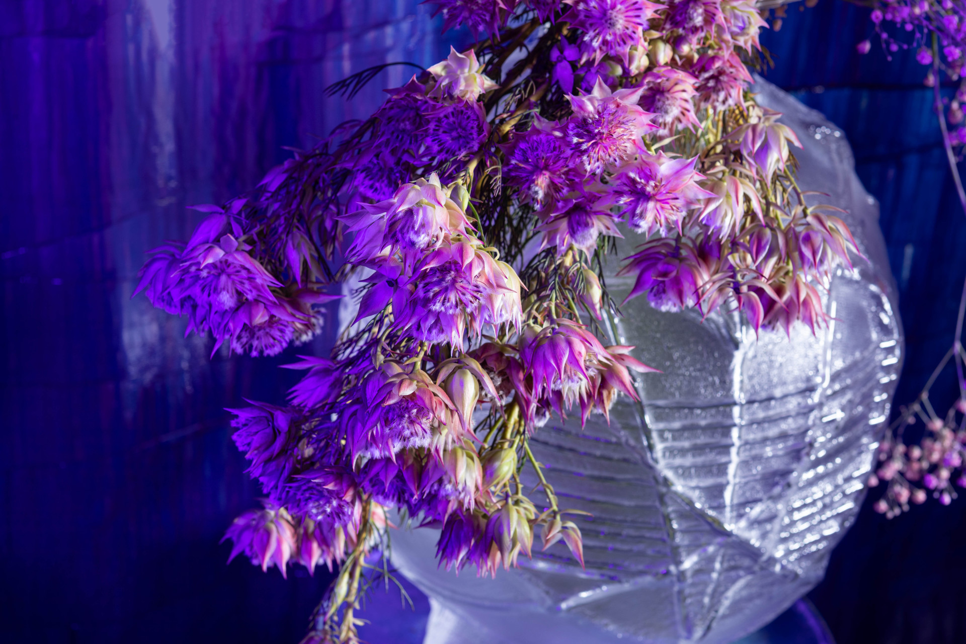 Florista Robert Bartolen byl hostem podcastu Bourání.