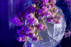 Florista Robert Bartolen byl hostem podcastu Bourání.