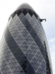 Okurka a spol. - foto