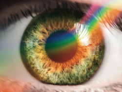 Zumtobel Light Forum od studia Snøhetta