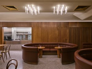 Dveře zapadají do jednotícího dřevěného obkladu. (Rekonstrukce zázemí Rudolfina; Architektonické studio Lenky Míkové)