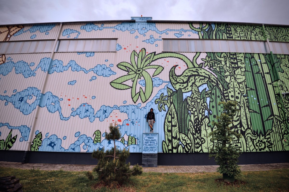 Velkoformátový mural art Kosmos, Michal Škapa