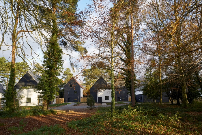 Carrowbreck Meadow, Hamson Barron Smith, Foto