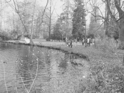 Obnova Mercandinových sadů v Klatovech, původní stav, CHVOJKA/ architekt.