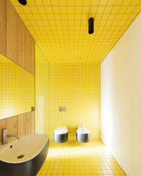 Vila P, Bergmeisterwolf