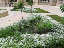 Rekonstrukce rajského dvora kláštera Emauzy od studia Terra Florida