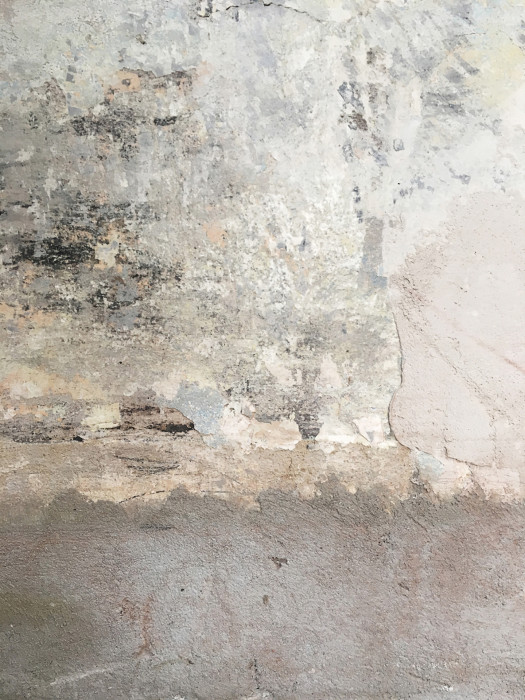 Bar Cobra v Praze od edit! architects