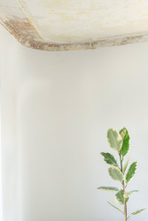 Výtvarným detailem jsou stropy, na nichž prosvítá odhalená stará výmalba. - Kanceláře marketingové agentury KHS v Praze, studio COSMO