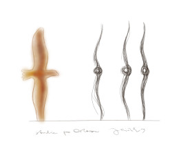 Náměstí 28. října v Orlové, Atelier RAW: Studie sochy orla od Jiřího Plieštika