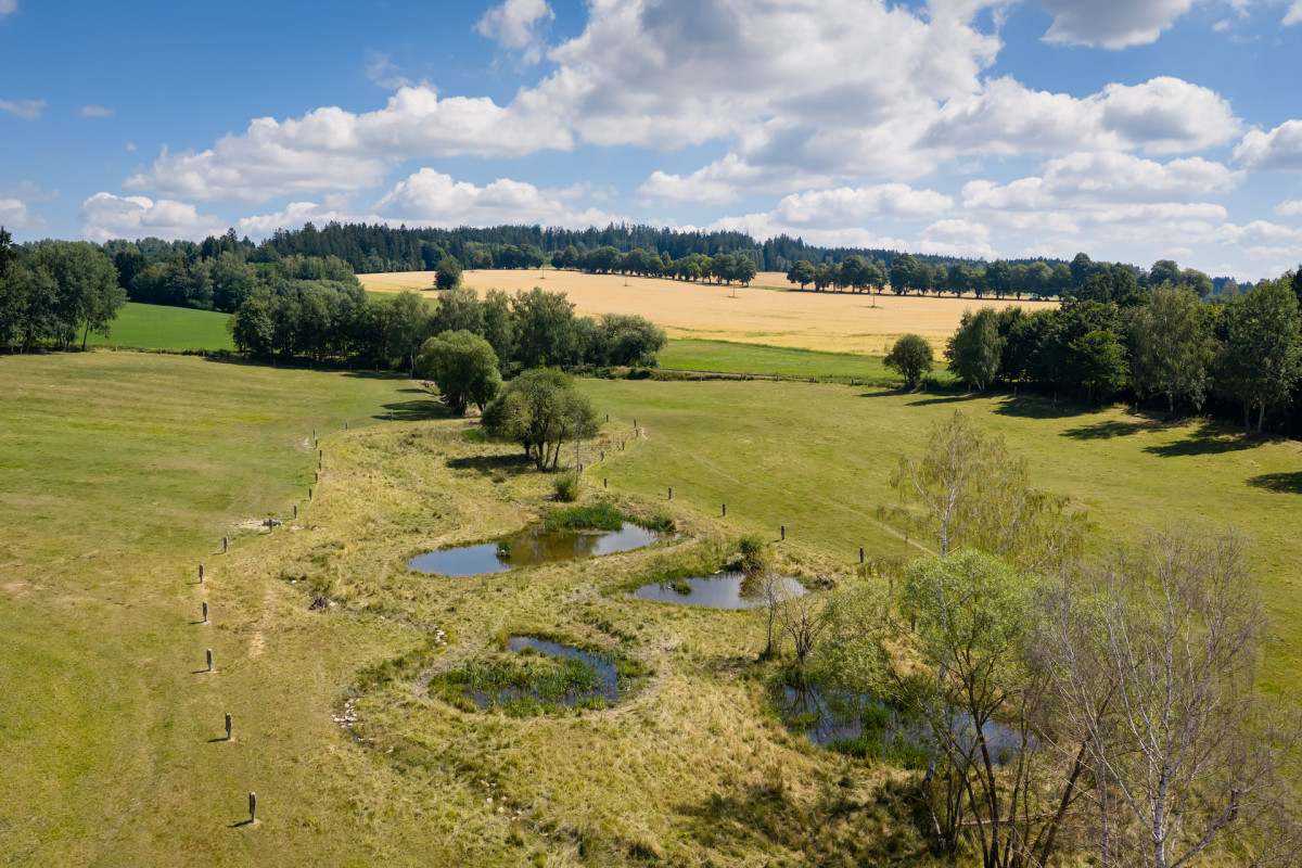 Krajina – Revitalizace vodního režimu v Černovicích