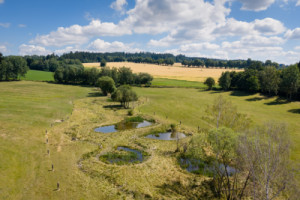 Krajina – Revitalizace vodního režimu v Černovicích