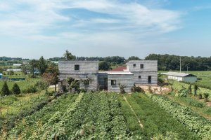 Stratum House, stpmj