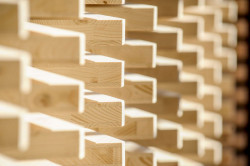 FA ČVUT v Praze, Workshop SCHODY - foto