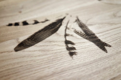 Architektka Daniela Polubědovová představila novou kolekci stolů Indiánské léto