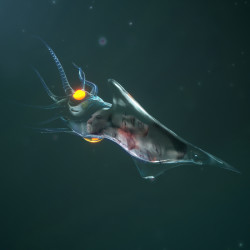 Archaické aktuality v zahradě Anežského kláštera, Jiří Černický.