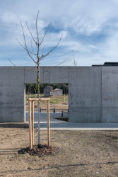 Betonová zeď u vstupu do areálu (Památník v Letech, Jan Sulzer, Lucie Vogelová, Ján Stempel, Jan Jakub Tesař)