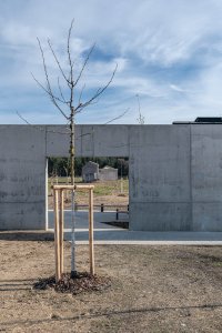 Betonová zeď u vstupu do areálu (Památník v Letech, Jan Sulzer, Lucie Vogelová, Ján Stempel, Jan Jakub Tesař)