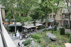 Subtile, Federico Díaz,