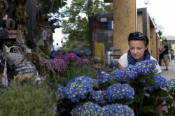 Francouzská ulička dětského filmového festivalu Zlín