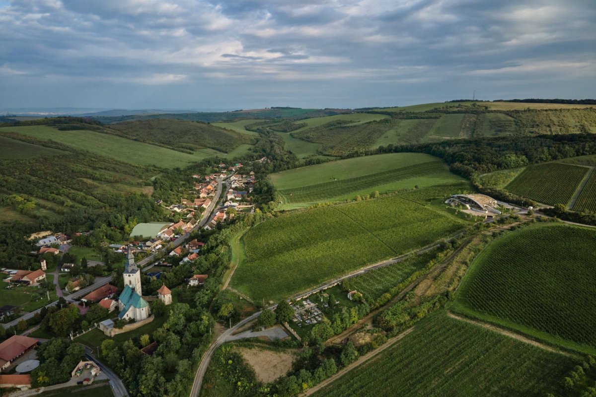 Vinařství Gurdau v Kurdějově od Aleše Fialy Vinařský dům, který má tvar kopce, navrhl architekt Aleš Fiala
