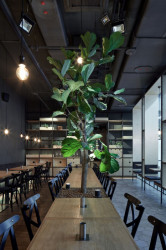 Coll Coll, bar Špejle, interiér