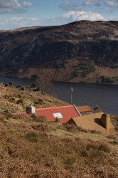 Rust-ic House, Urban Agency