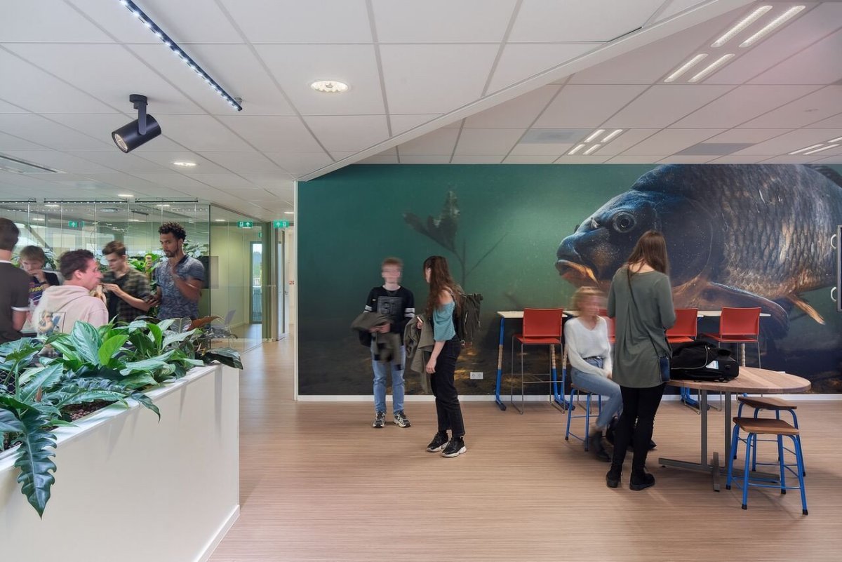 Vysoká školy aplikovaných věd Aeres v Almere, BDG Architecten: Podlaha Marmoleum vytváří zdravé vnitřní prostředí, je odolná a snadno se čistí