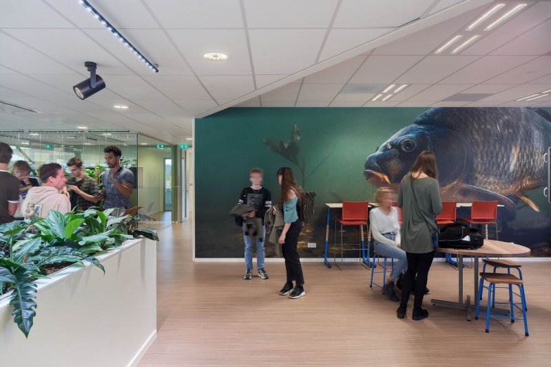 Vysoká školy aplikovaných věd Aeres v Almere, BDG Architecten: Podlaha Marmoleum vytváří zdravé vnitřní prostředí, je odolná a snadno se čistí