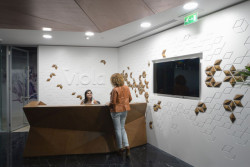 M+N Architecture, Viola Communications Office - foto