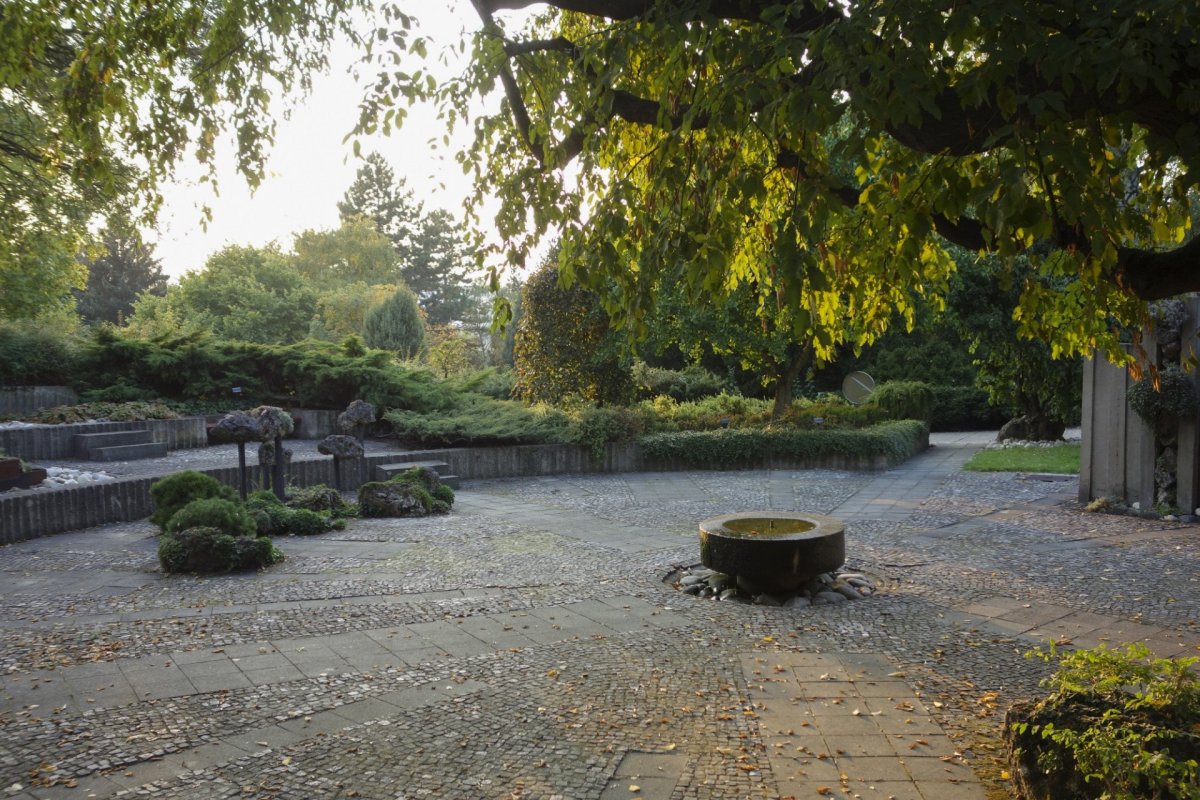 Botanická zahrada a arboretum Mendelovy univerzity