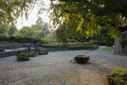 Botanická zahrada a arboretum Mendelovy univerzity