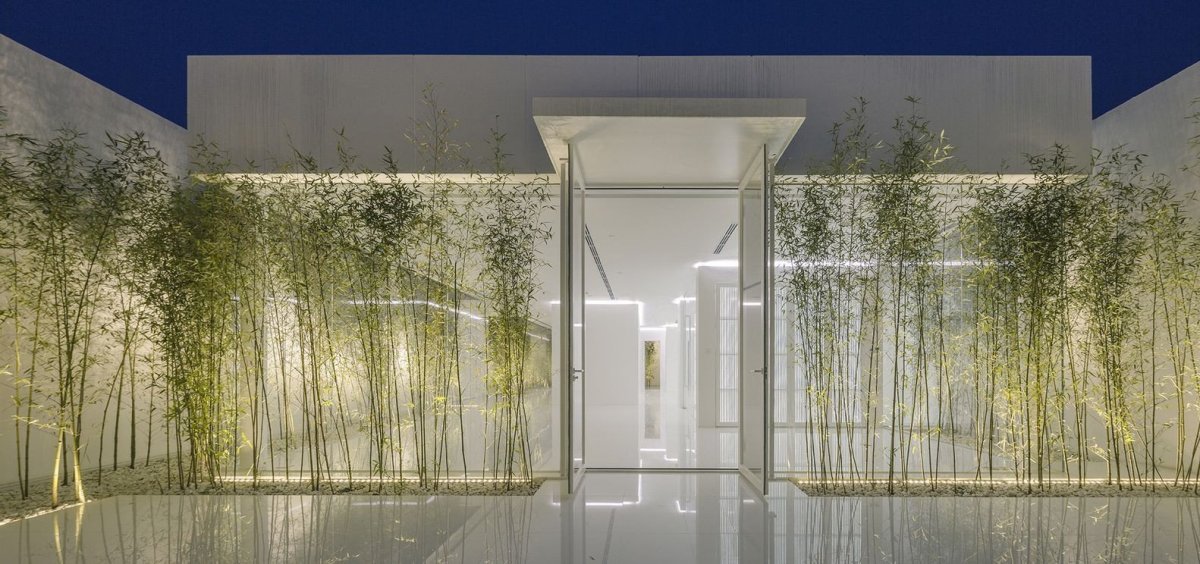 Bamboo Forest, V Studio