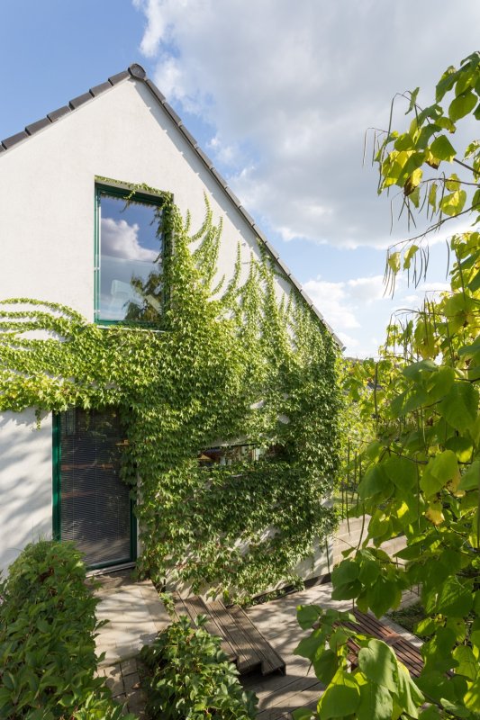 Rodinný dům Čakovice od ateliéru Stempel & Tesar architekti