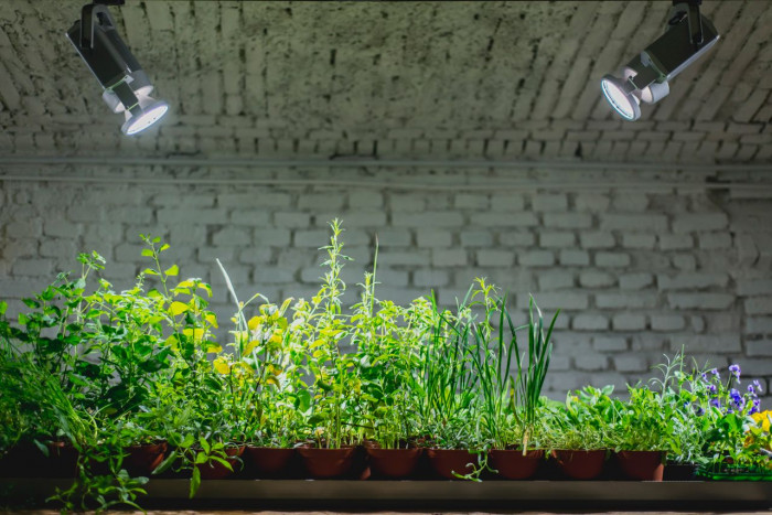 0,5 Studio, Jam and Co., sklepní prostory – foto