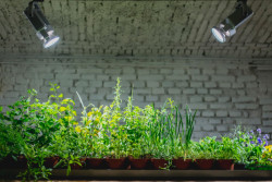 0,5 Studio, Jam and Co., sklepní prostory – foto