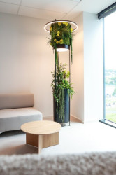 Nebo pro zasedací místnosti a reprezentativní prostory, kde prvek doplňuje koncepci interiéru.