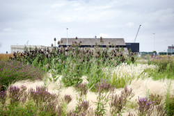 Ve čtvrtek 7. března 2024 od 19h30 se ve velkém sále kina Světozor uskuteční přednáška nizozemské architektky Maike van Stiphout a specialisty na výsadbu rostlin Freda Booye.