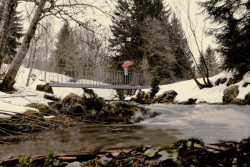 Studenti architektury ČVUT v Praze realizovali lávky do Krkonoš