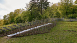 Betania forest garden