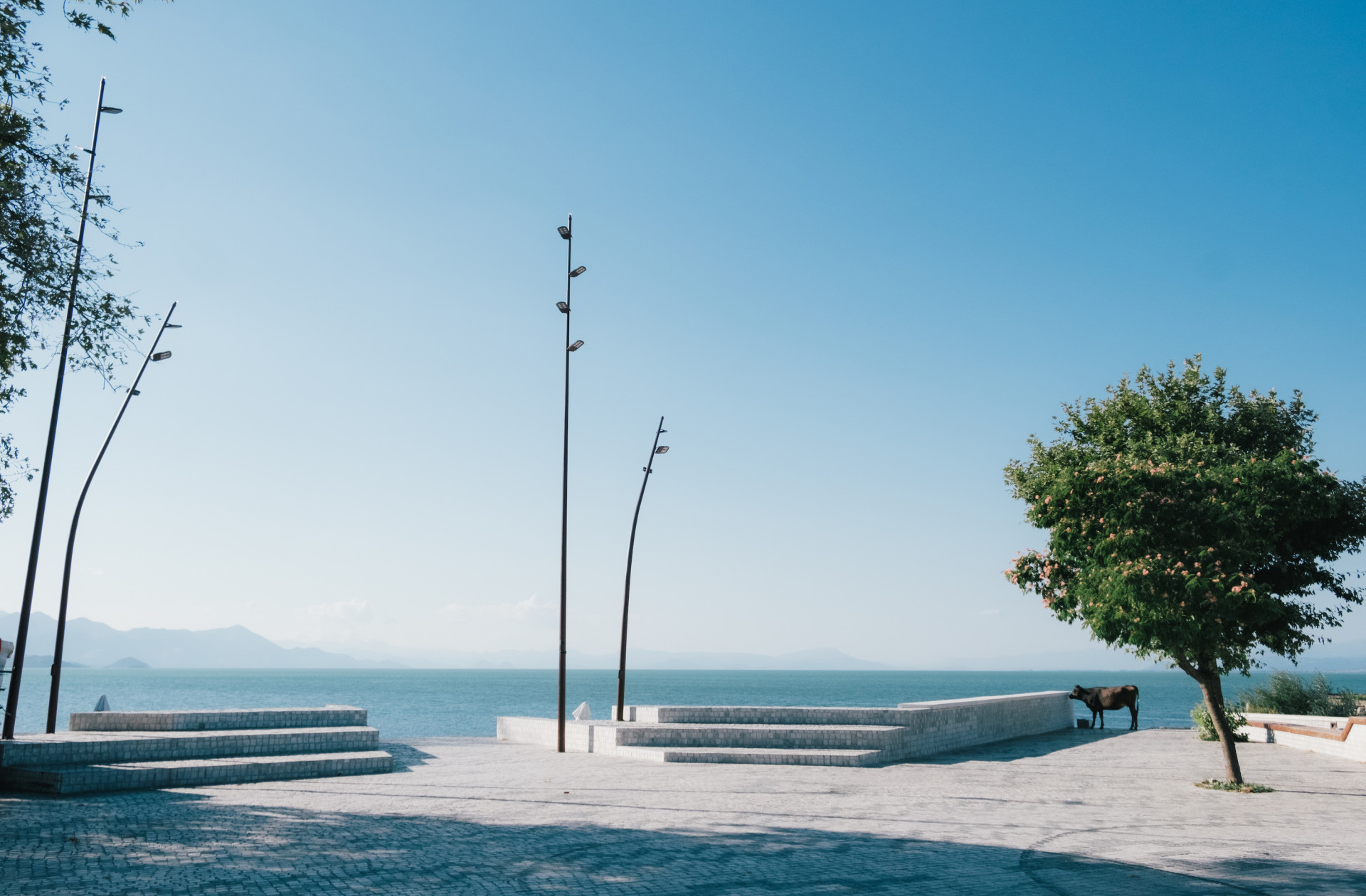 Projekt Albanian Carpet od studia Casanova+Hernandez Architects