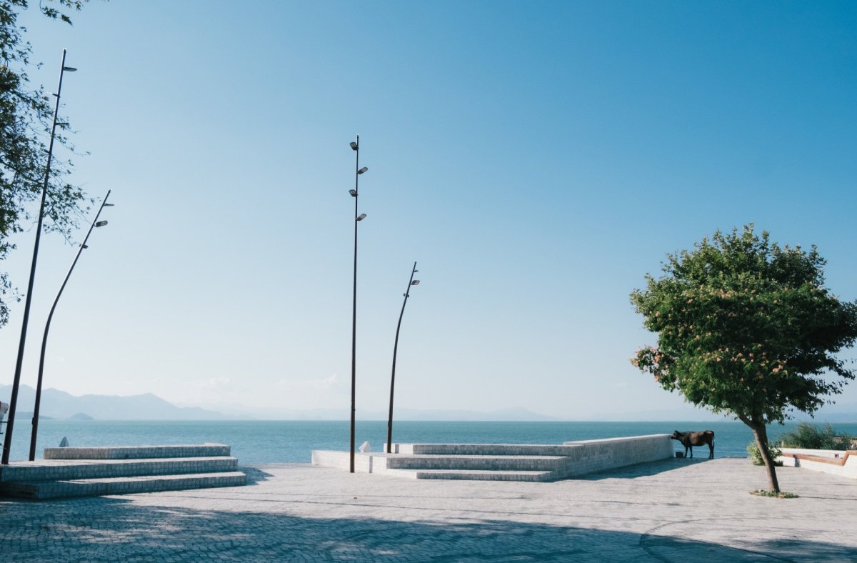 Projekt Albanian Carpet od studia Casanova+Hernandez Architects
