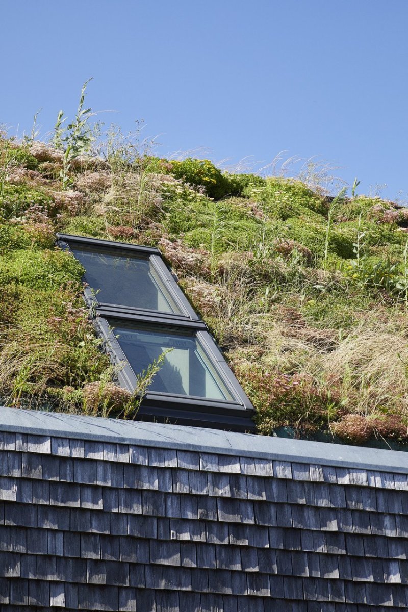                    Les Pieds Vertes, j + e architekti / Benjamin Jardel, Nicolas Epaillard