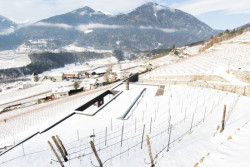 Vila P, Bergmeisterwolf